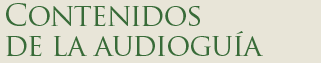 Audioguia y guia pr�ctica de Roma